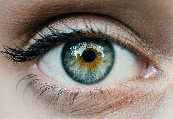 Eye Diseases